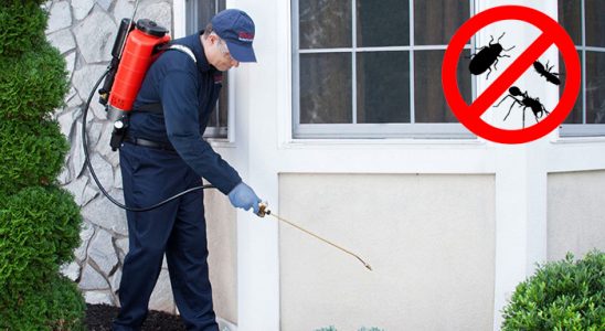 Armutlu Gümüşkurt İlaçlama böcek ilaçlama ve haşere kontrolü — ilaclama-tr.com